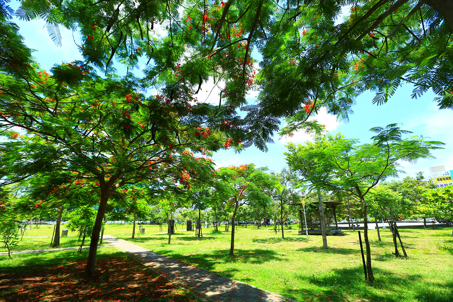 水舞曼波公園